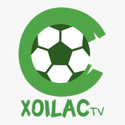 mtdalycom