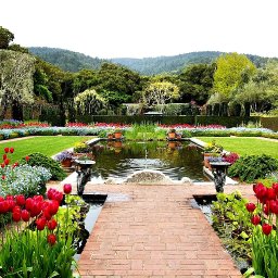 lawnmowingadelaide