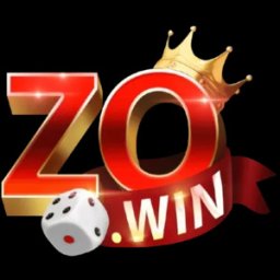 zowincocom1