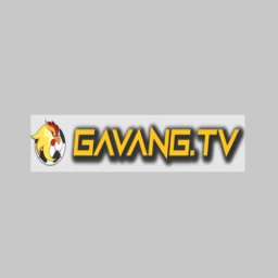 gavangtvwork1