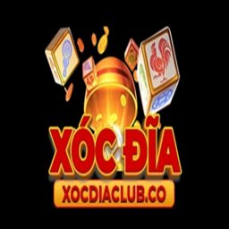 xocdiainfo1