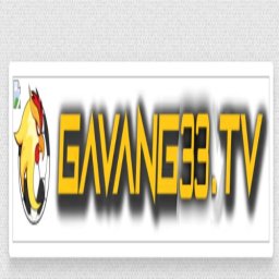 gavang33com