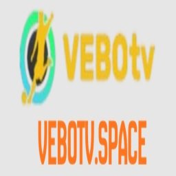 vebotvspace