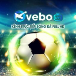 vebozzycc