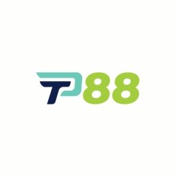 tp88art1