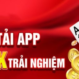 trochoithapcom1