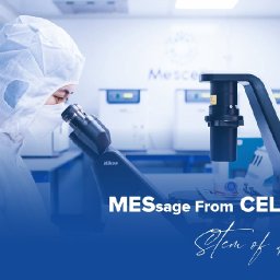 mescellscom