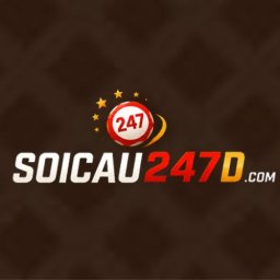 soicau247d