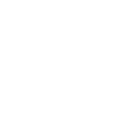 66fskin
