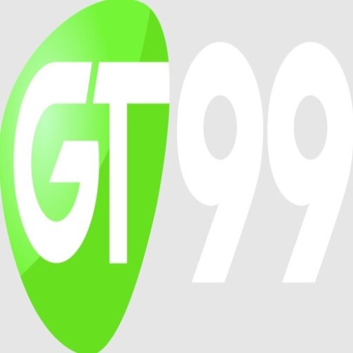 9gt99net