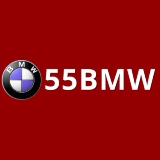 55bmworgphtop