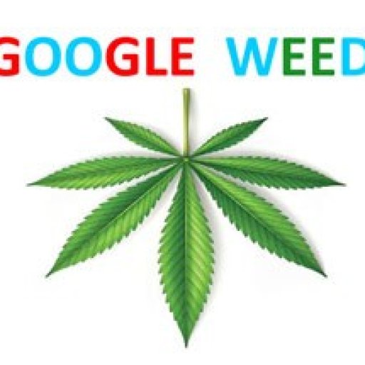 googleweeddelivery