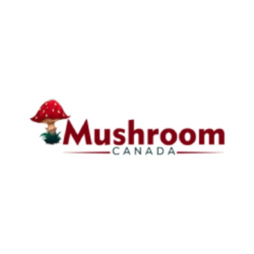 buymushroomscanada