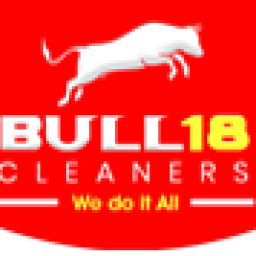 bull18cleaners