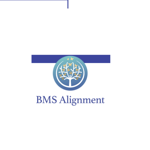 BMSAlignment