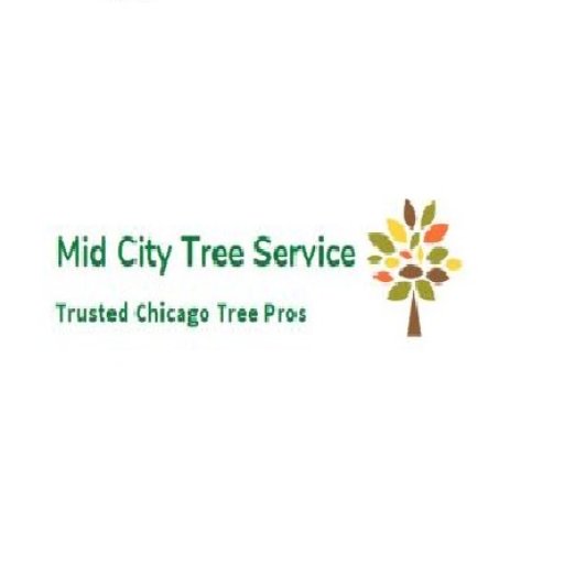 treeservicechicagoil