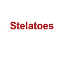 stelatoesshoes