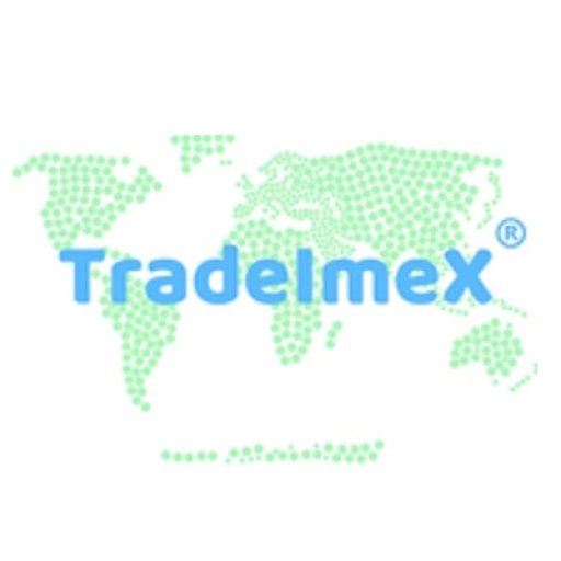 Tradeimex Info Solution Private Limited