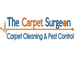 thecarpetsurgeon