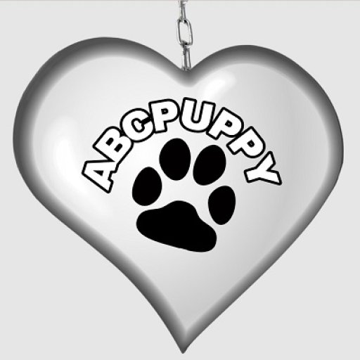 abcpuppy