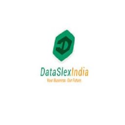 Data Slex India