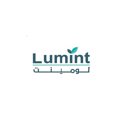 lumintgroup