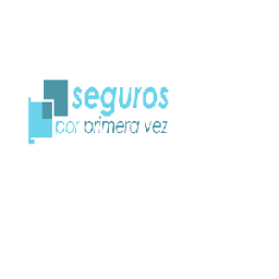 seguroporprimeravez