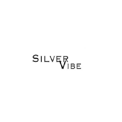 SILVER VIBE FASHION