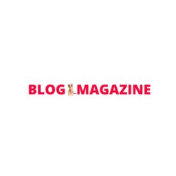 blogmagazine