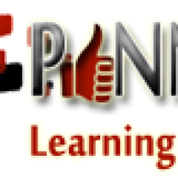 pinnacleinstitute