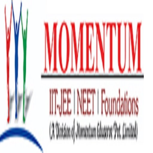 Momentum