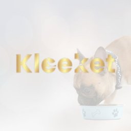 kleeket_llc