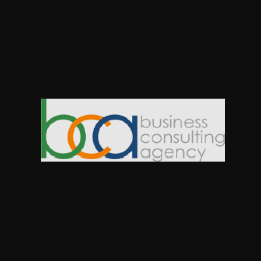 Business Consulting Agency