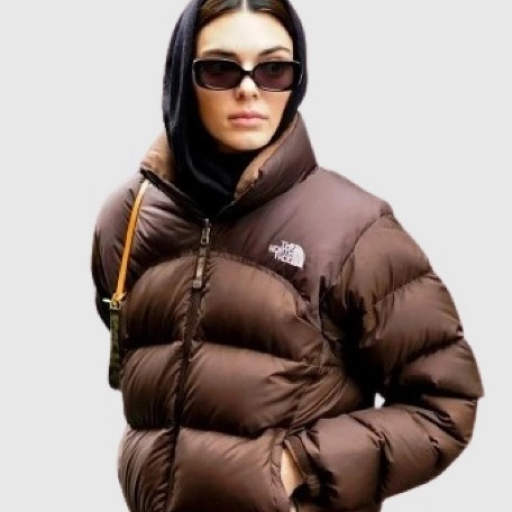 North Face Brown Puffer Jacket