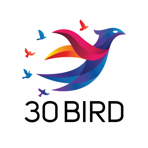 30birdmedia