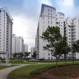 newprojectparkgrove