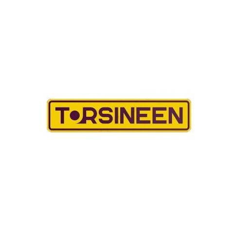 Torsineen