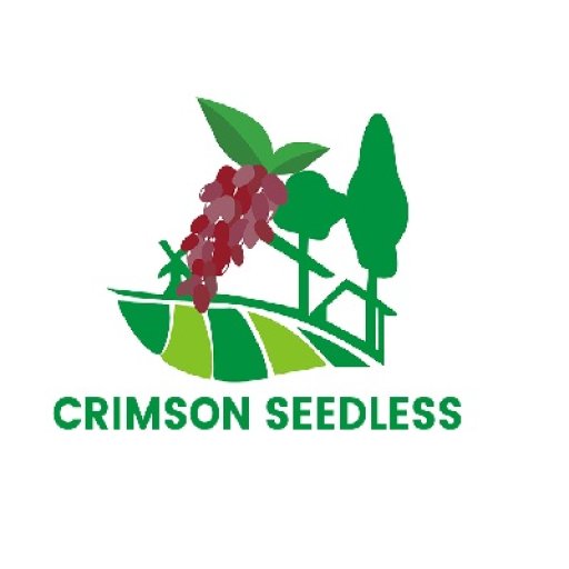 qijicrimsonseedless