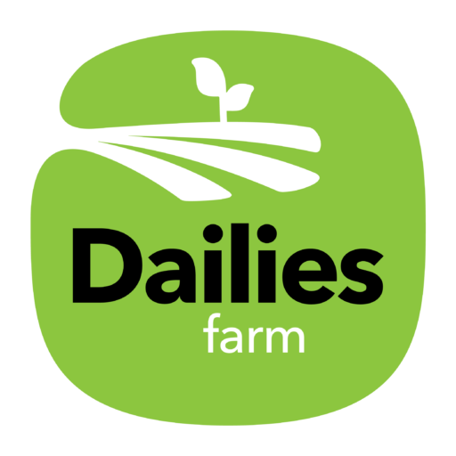 dailiesdairy