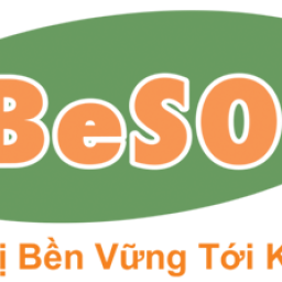 besol viet nam