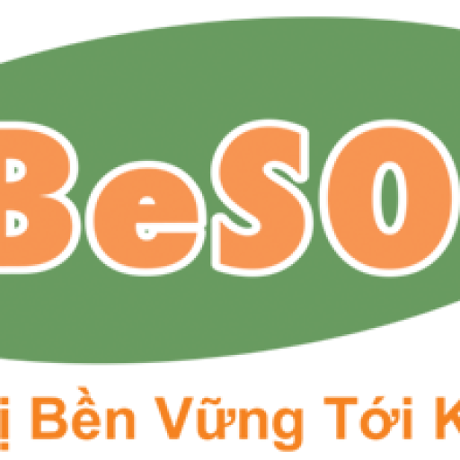 besol viet nam