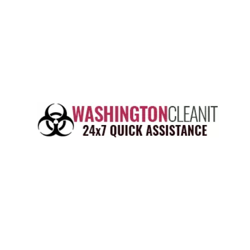 Washingtoncleanit