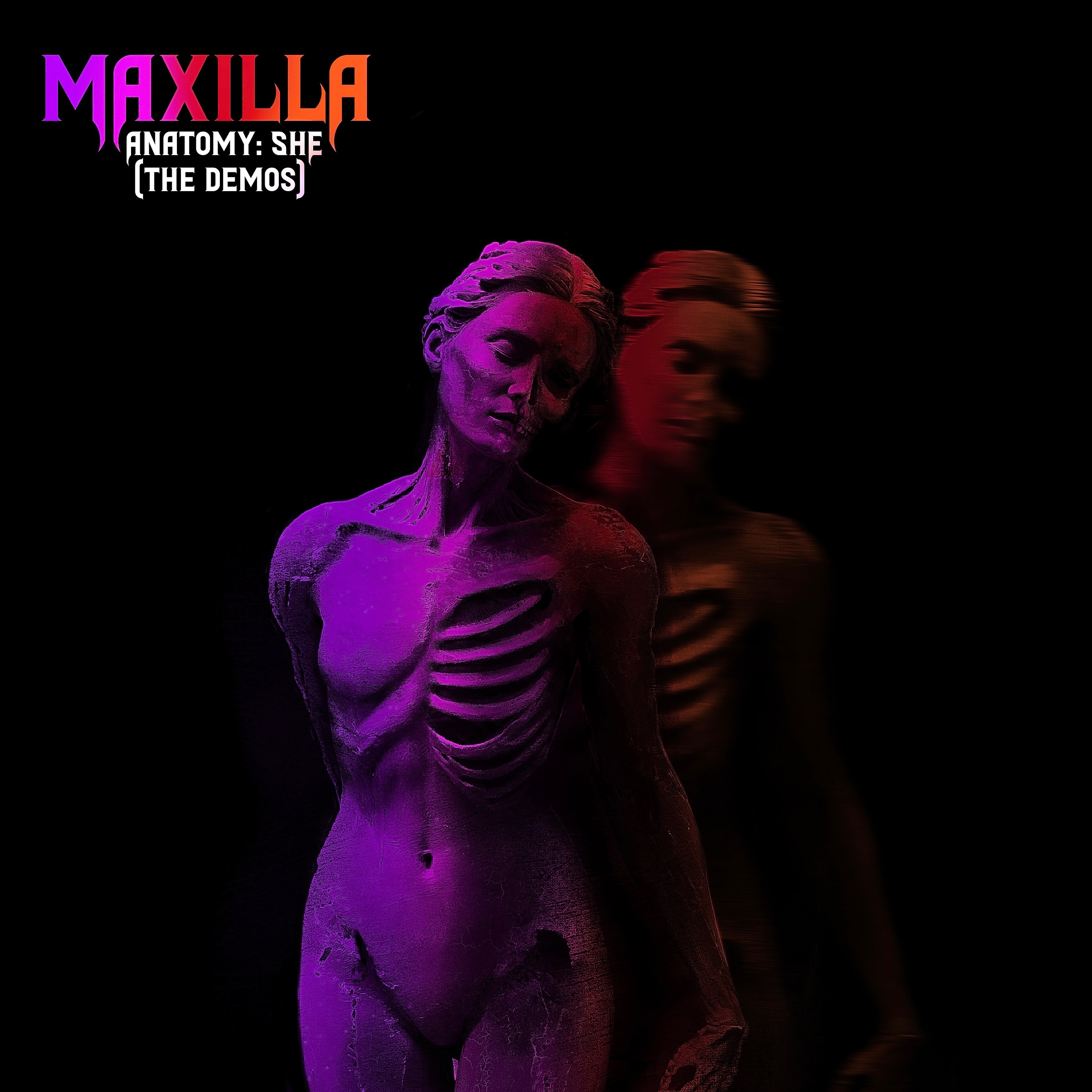 anatomyshe_cover.jpg