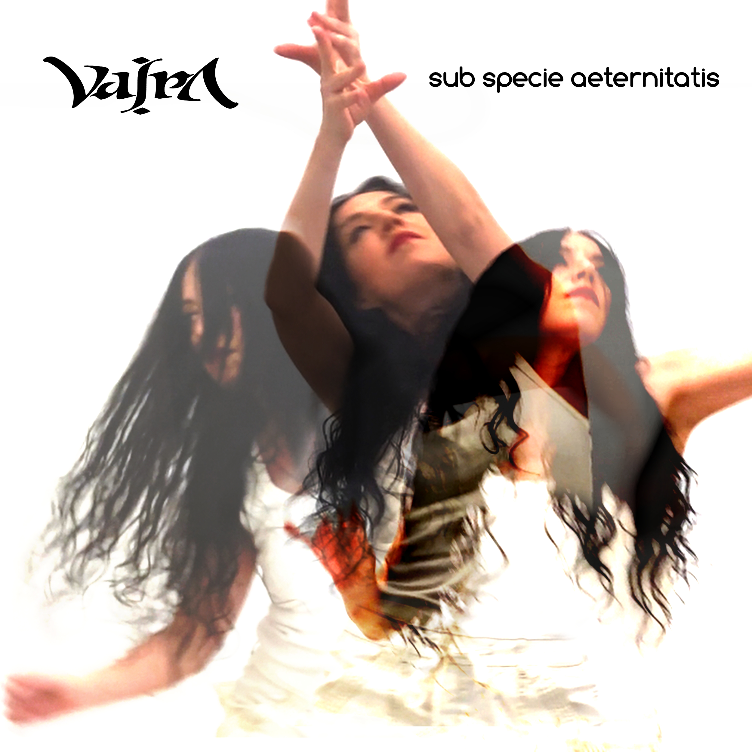 Copy of sub specie aeternitatis square1.jpg