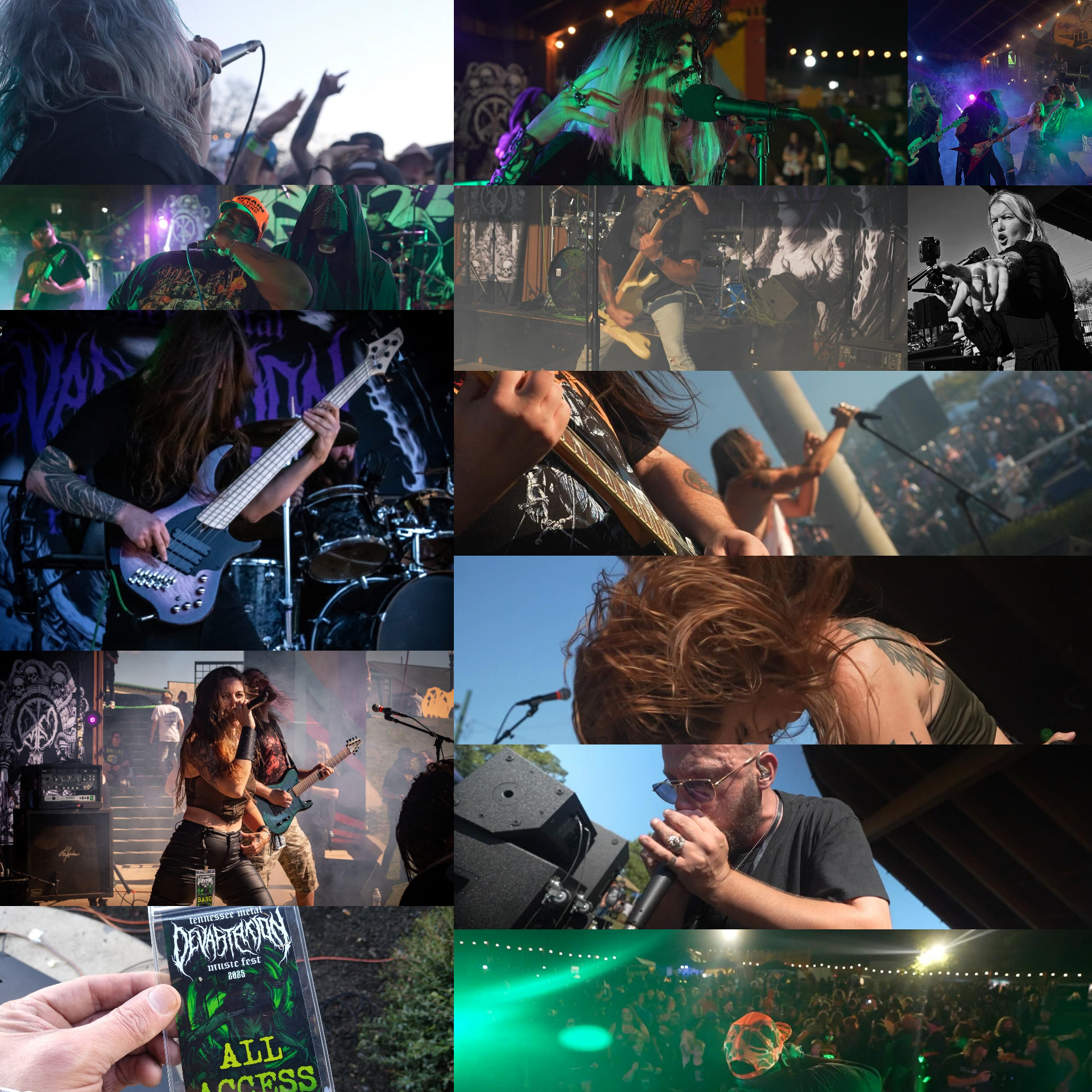 gandrcollage1.jpg