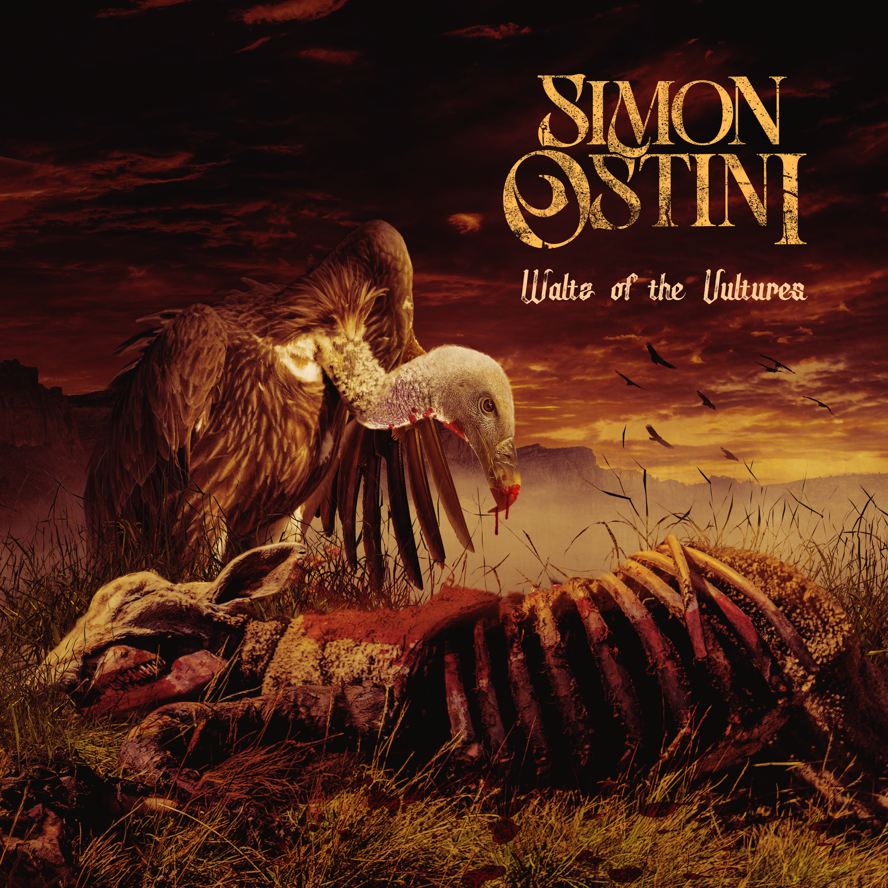 simon_ostiniwaltz_of_the_vulturesCOVER_3000x3000.png