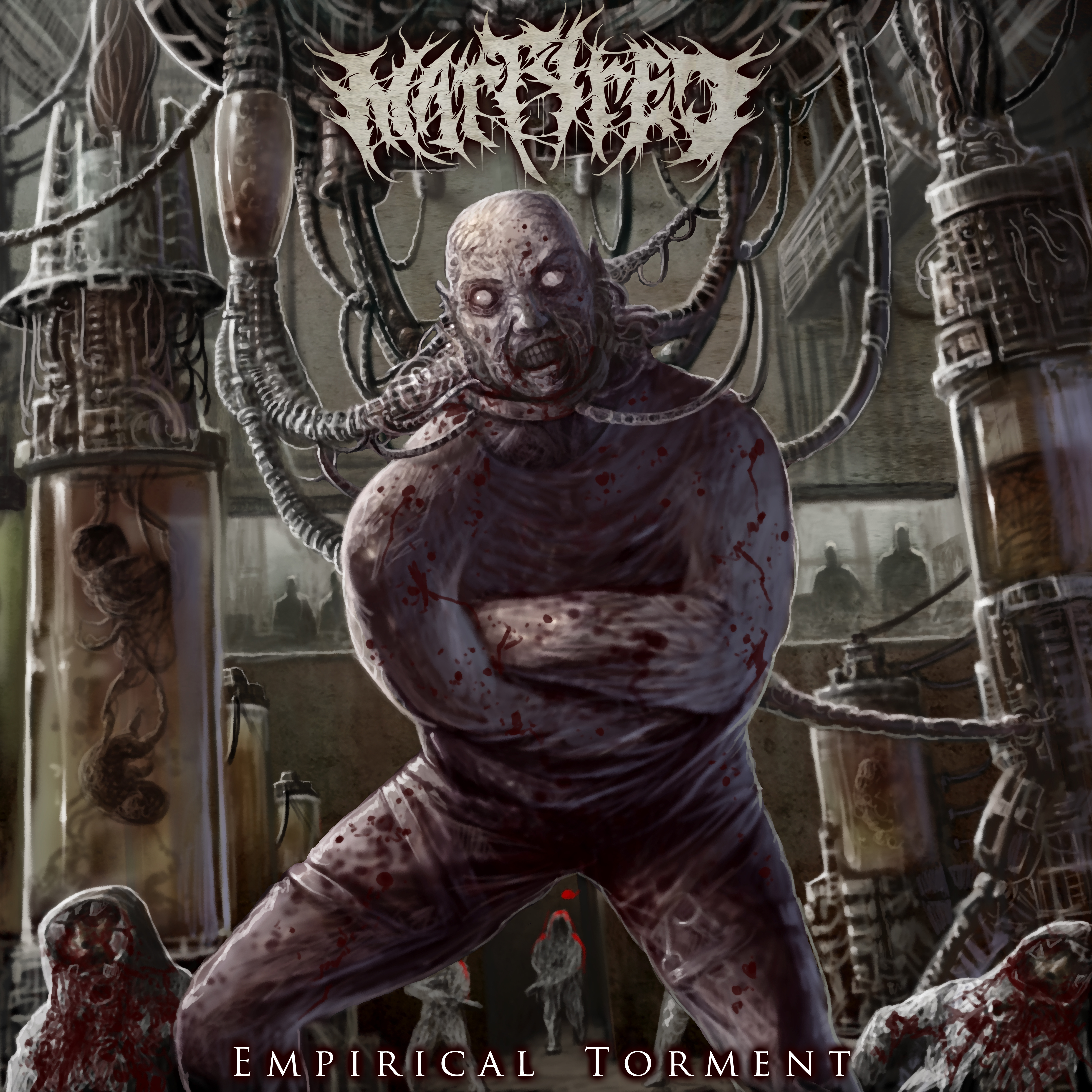 Martyred Empirical Torment Cover1.jpg
