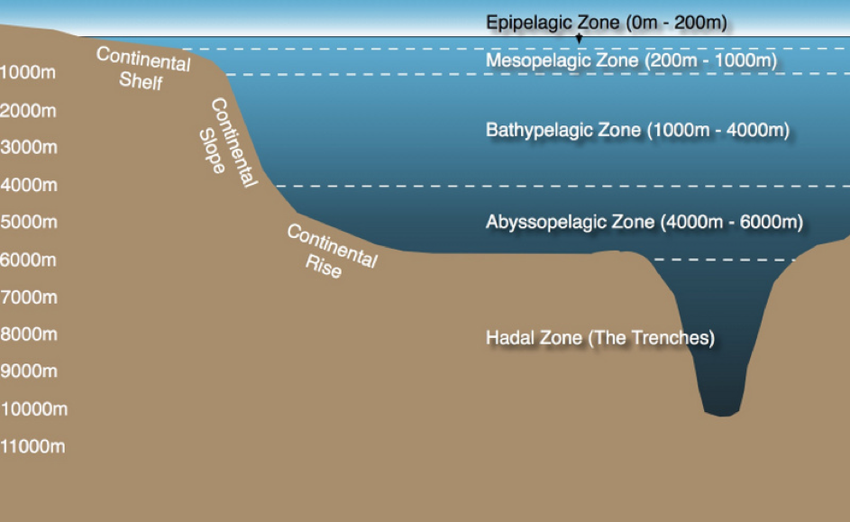 pelagic_zones.png