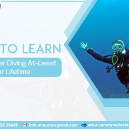 why-to-learn-open-water-diving-at-least-once-in-your-lifetime