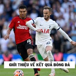 kinh-nghiem-chon-dia-chi-cap-nhat-ket-qua-bong-da-online-dang-tin-cay